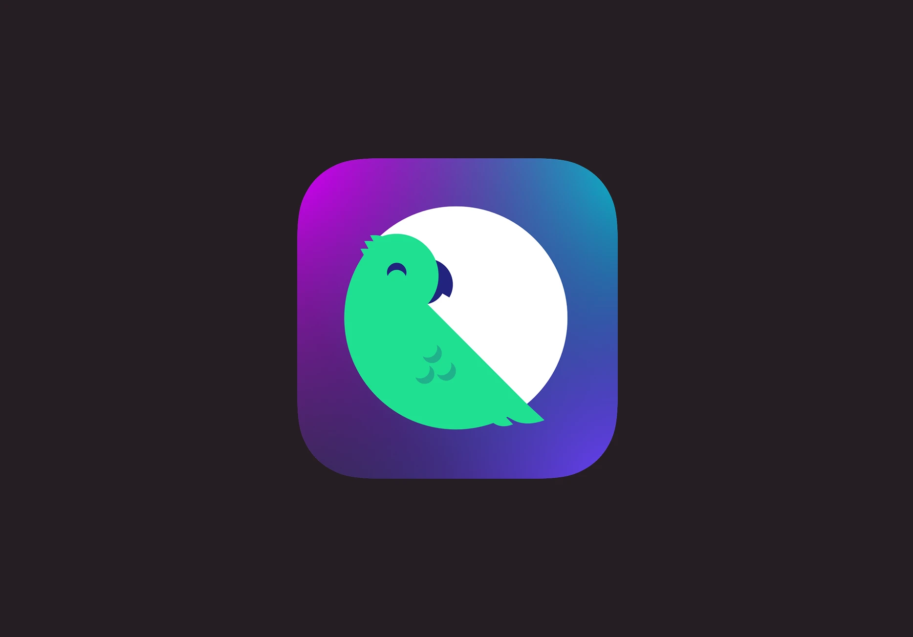 Branding, Icon Design - Chatripp