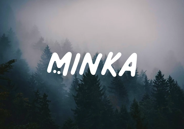 UX & UI - Minka