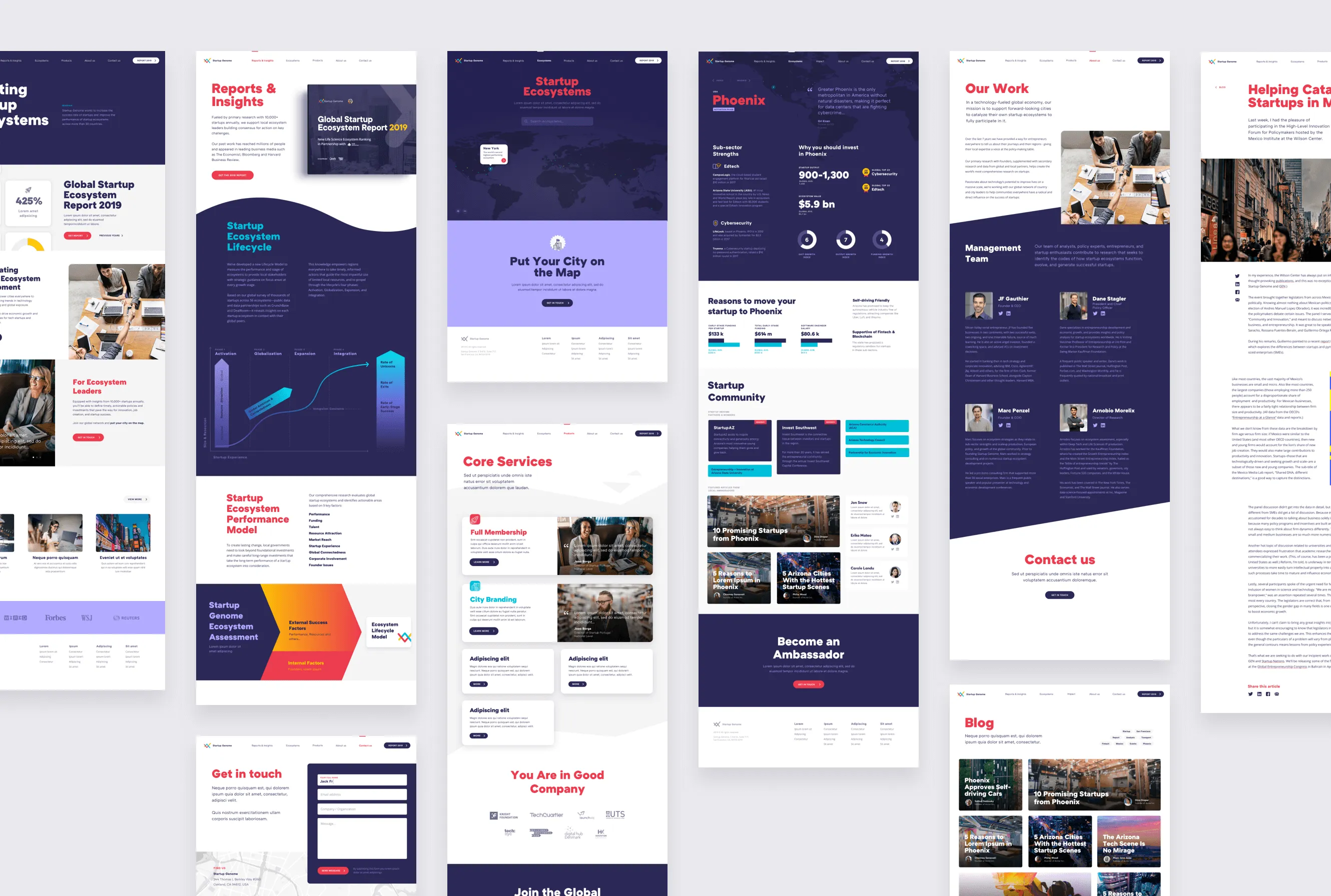 Startup Genome UX / UI Design