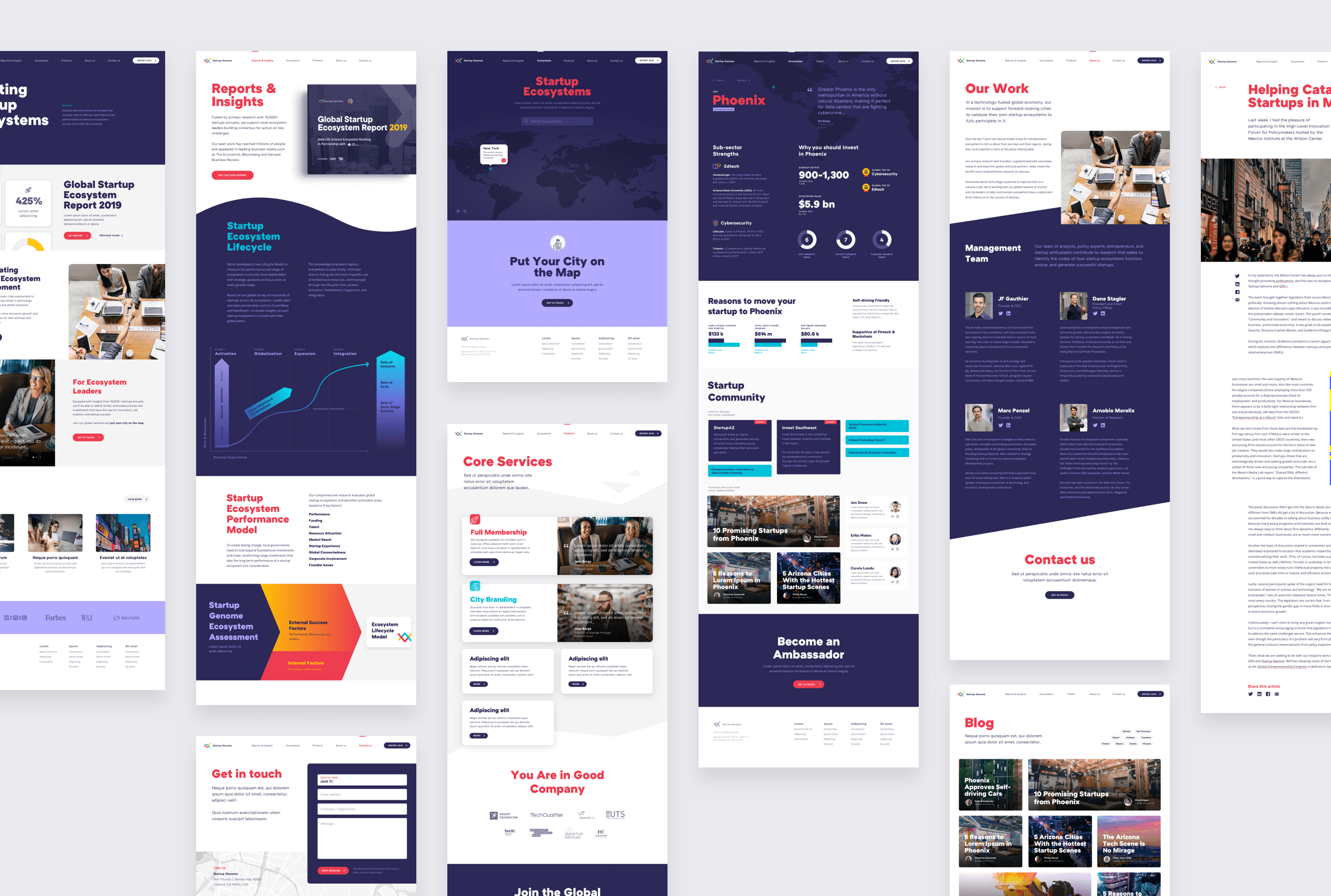 Startup Genome UX / UI Design 