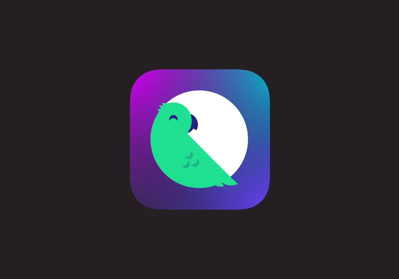 Branding, Icon Design - Chatripp